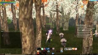 Лес Archeage