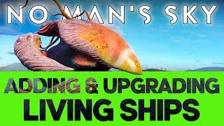 Adding & Upgrading Living Ships  |  No Man's Sky 2022