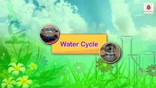 Water Cycle | Science Grade 2 | Periwinkle