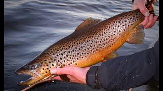 Fly fishing trout from the belly boats on beautiful wilderness lake in Lapland - Finland Pello