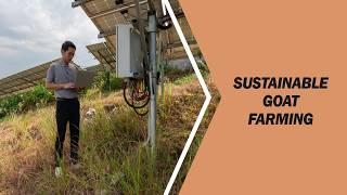 Sustainable Goat Farming: Eco-Friendly Practices for Modern Farms