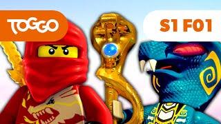 NINJAGO Deutsch | Der Aufstieg der Schlangen | S1E01 | LEGO | Ganze Folge | TOGGO ​Serien