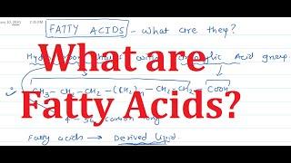 3. Fatty Acids: What are they?