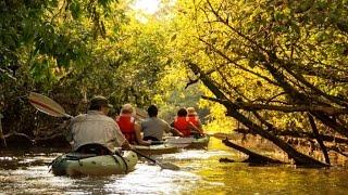 Ecuador's Amazon Region