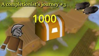 Will this be enough clues? (Completionist journey #3)