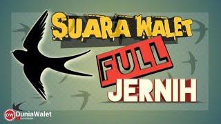 SUARA PANGGIL WALET FULL JERNIH