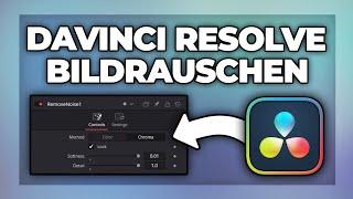 Davinci Resolve Bildrauschen entfernen - Tutorial