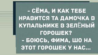 - Сëма, как тебе дамочка в купальнике в зеленый горошек? Сборник Свежих Анекдотов! Юмор!