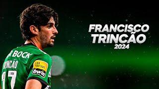 Francisco Trincão is Showing His Talent at Sporting CP