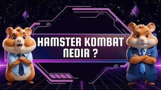 HAMSTER KOMBAT NEDİR? | BALON PROJE Mİ ? | TELEGRAM BOTLARI İNCELEME 2