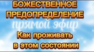 Божественное предопределение.  Как применить в жизни.