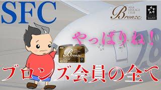 【SFC修行】 ANAプレミアムメンバー Bronze編 ~ANA修行の魅力~