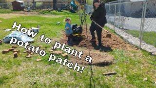 How to Grow a Potato Patch