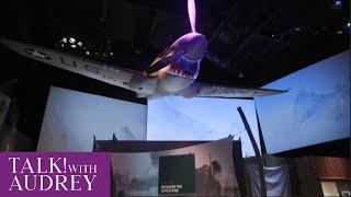 Travel: America's National World War II Museum-Expressions of America