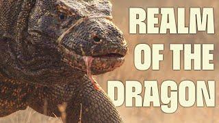 Savage Komodo Hunts & More | FULL DOCUMENTARY | Wild Indonesia | @UltimateNatureDocs