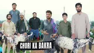Chori ka Bakra | 2nd Day of Eid | Bwp Production