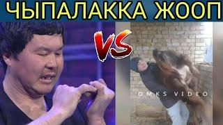 ТОП 5 КЫРГЫЗЧА: ЭН КУЛКУЛУУ СОНУН ТАМАШАЛАР #1 