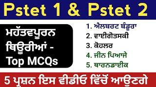 Pstet 1 and Pstet 2 Physiology | Important Theories Pstet | Child development mcq | Pstet gk mcq