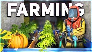 Farming & Genetics Guide | Rust Tutorial