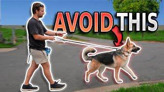 What You NEED TO KNOW About Leash Pressure