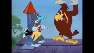 Tom and Jerry - Flirty Birdy