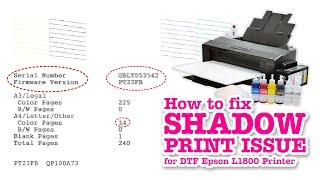 How To FIX Shadow Print Issue for DTF Epson L1800 Printer