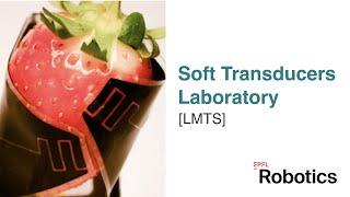 Soft Transducers Lab (LMTS) - EPFL Robotics Lab