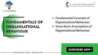 Fundamental Concepts of Organisational Behaviour | Organisational Behaviour | eLearning Video