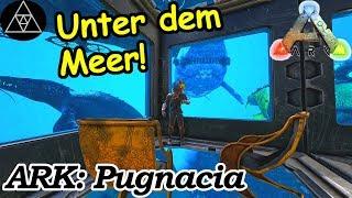 Modded ARK Pugnacia #80 ► Unterwasser Tek Base!  ARK: Pugnacia Dinos!