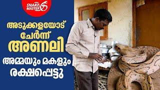 അടുക്കളയോട് ചേർന്ന് അണലി,അമ്മയും മകളും രക്ഷപ്പെട്ടു | Snakemaster EP 1010