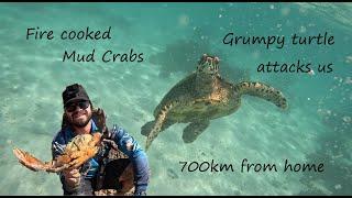 BIG MUD CRABS - FULL ON ADVENTURE EXPLORING NORTHWEST AUSTRALIA.