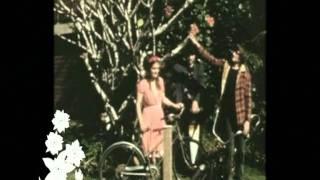 Angus & Julia Stone - Mango Tree