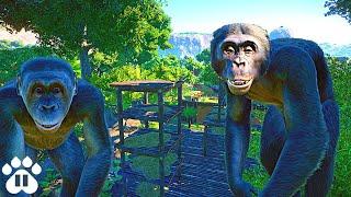 Building a Climbable Habitat for Bonobos | Eco-Zoo | Planet Zoo Franchise Mode Ep27