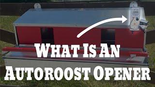 HenGear AutoRoost Opener - How it automates your HenGear Rollout Nest Box & keeps your eggs clean!