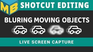 Shotcut filter DEMO | Blur & follow multiple objects