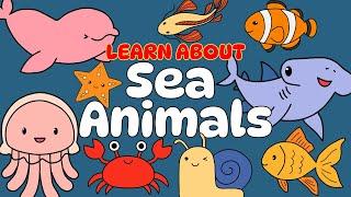 Learn About Sea Animals for Kids | 10 Fun Facts  | Underwater Animals Sensory Video