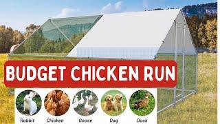 Budget chicken run for backyard farm beginners