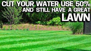 Have a Lawn with 50% less water.  BEST TIPS
