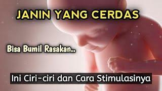 Ciri-ciri Janin Cerdas dan Cara untuk Menstimulasi Kecerdasannya