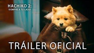 Hachiko 2 | Tráiler Oficial Doblado | 2024