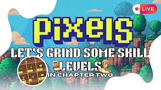 Lets Grind Some Skill Levels | PIXELS Chapter 02 | PIXELS Sri Lanka Official  Live Stream