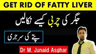 How to REVERSE Fatty Liver