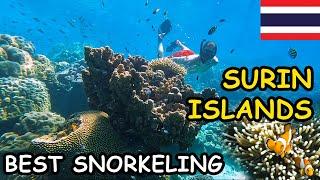  Surin Islands THAILAND'S BEST SNORKELING