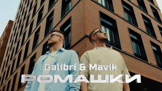 Galibri & Mavik - Ромашки (Премьера клипа, 2024)