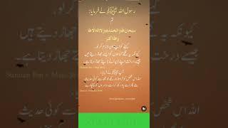 Hazrat Muhammad S.A.W Ne Farmaya | Hadees | ShortsViral |