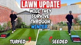 Will my lawns survive through winter? - Lawn Update