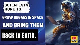 Scientists hope to grow organs in space and bring them back to Earth.