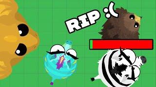 ZEBRA KILLS SHABAZ IN MOPE.IO!! -- MOPE.IO ZEBRA TROLLING