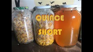 Quince homemade alcohol - SHORT version