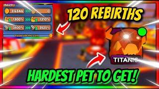 I GOT THE INSANE 120 REBIRTH TITANIC PET! in Pet ATK Simulator (ROBLOX)